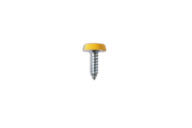 31543 Rear yellow number plate fixing screws